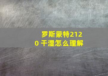 罗斯蒙特2120 干湿怎么理解